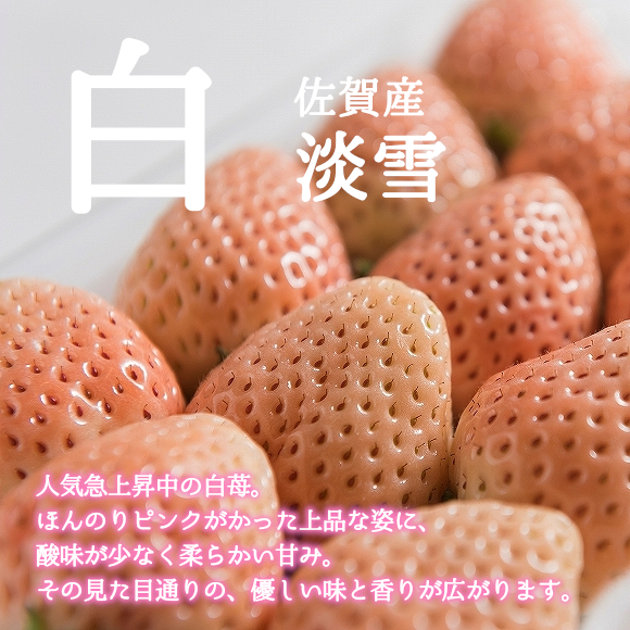 南国フルーツ 福岡 佐賀産紅白いちご あまおう 白いちご 2パック の通販はau Pay マーケット 南国フルーツ