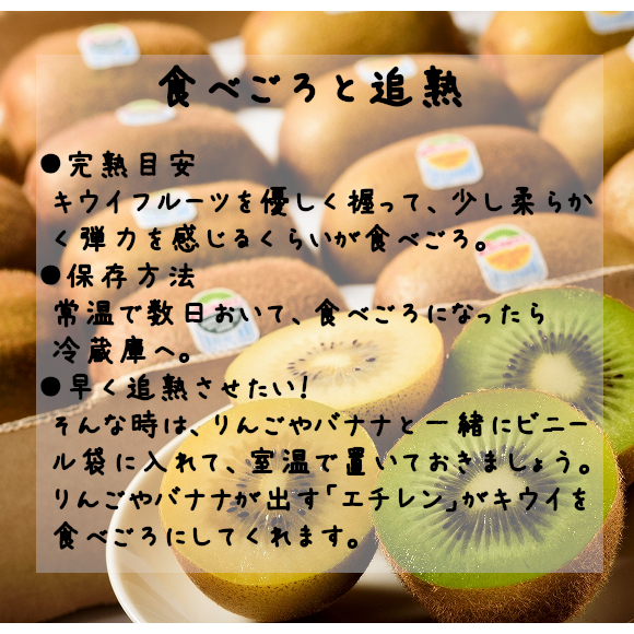 南国フルーツ ニュージーランド産ゼスプリ サンゴールドキウイm約6kg 60 66玉 の通販はau Pay マーケット 南国フルーツ