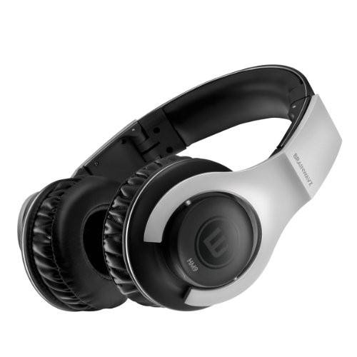 Brainwavz HM9 Hi-Fi Noise Isolating Headphones