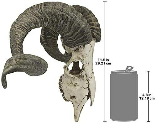 コルシカラム 頭骨オブジェ コルシカ島 雄羊の 頭蓋骨と角 壁掛け 彫像/Design Toscano Corsican Ram Sku