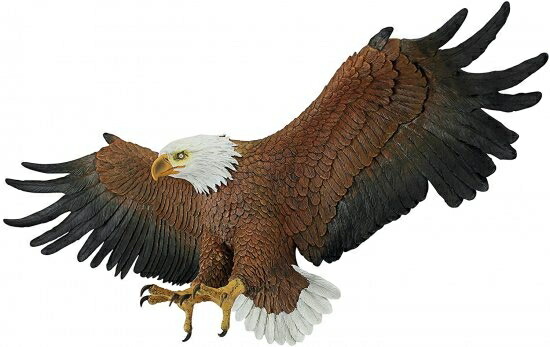 Design Toscano Freedom's Pride American Bald Eagle 愛国主義的な壁刻みつける グランデ 44in ポリ脂 盛りだくさん