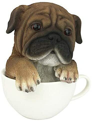 Design Toscano Puppuccino 子犬 収集価値のあるパグ 犬の像、5.5