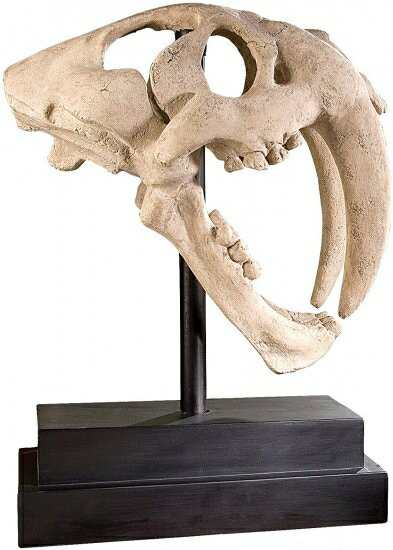 Design Toscano Sabre-Toothed Tiger Skull Artefact in Stone