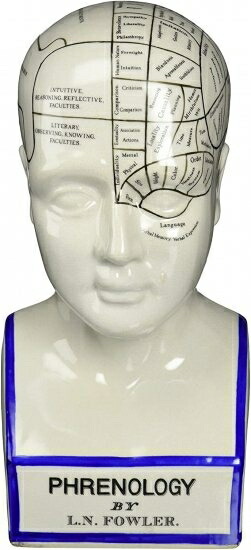 デザイントスカーノの磁器のPhrenology Head Fortune Telling Statue、30.5 cm、磁器、ホワイト