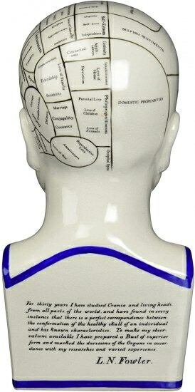 デザイントスカーノの磁器のPhrenology Head Fortune Telling デザイントスカーノの磁器のPhrenology Head Fortune Telling