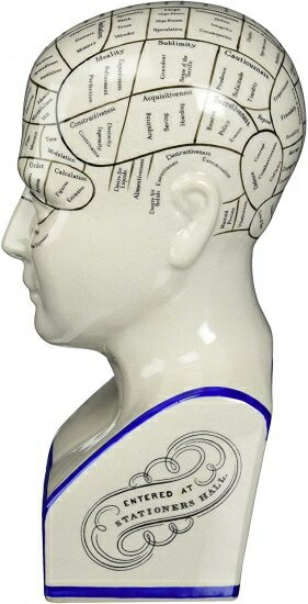 デザイントスカーノの磁器のPhrenology Head Fortune Telling Statue、30.5 cm、磁器、ホワイト