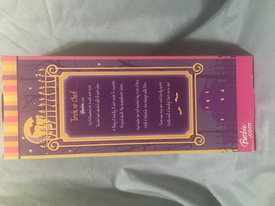 Barbie バービートリックまたはシック_1
