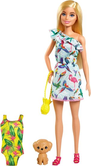 Barbie バルビーとチェルシーの失われた誕生日人形とアクセサリー