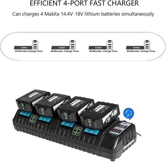 Sun Joe iON100V-RCH 100-Volt Rapid Charger for iON100V Series_2