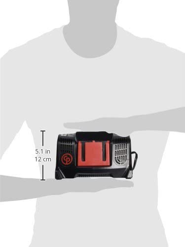 WORX WA3875 20V Li-ion Dual Port 2 Hour Charger_1