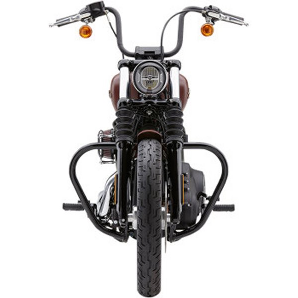 デイトナ スリップオンマフラー DS250 (08-17)