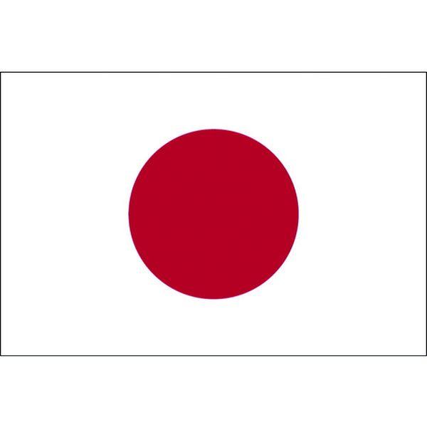 東京製旗(株) 東京製旗 国旗No.4(140×210cm) 日の丸 10460-TN WO店