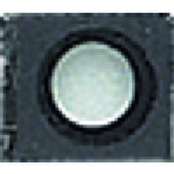 15129103 VARGUS社 SHAVIV G40ブレード カーバイド 151-29103 WO店