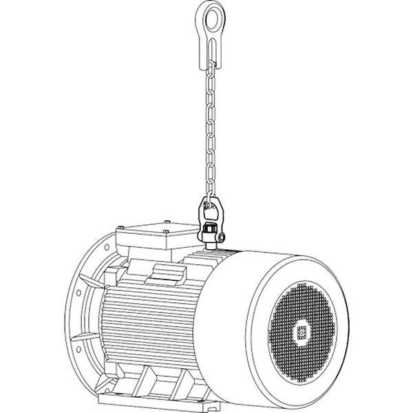 22353.0024 ネジ山クランプ式リフティング・ピン スイベルタイプ