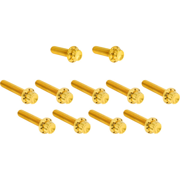 アレンネス Arlen Ness HARDWARE KIT TITANUIM 12PT CAM & POINT CVR GOLD 2401-1760 WO店 15,282円