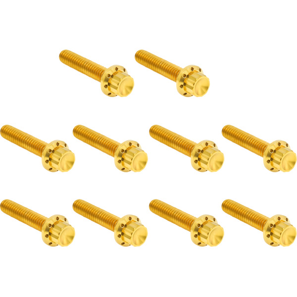 アレンネス Arlen Ness HARDWARE KIT TITANUIM 12PT CAM & POINT CVR GOLD 2401-1766 WO店