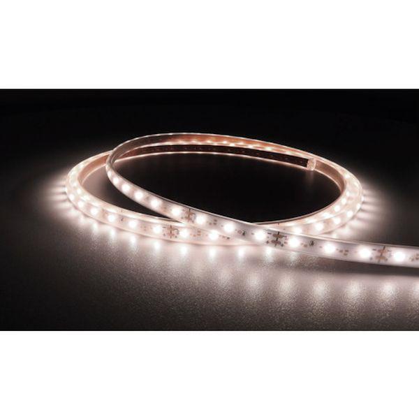 TLVD40216.6P2 LEDテープライト Viewdi Plus DC24V 16.6mmP 4000K 2m巻 368-5883-TN WO店