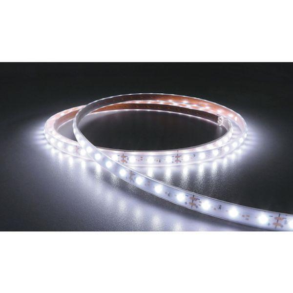 TLVD65216.6P3 LEDテープライト Viewdi Plus DC24V 16.6mmP 6500K 3m巻 368-8907-TN WO店