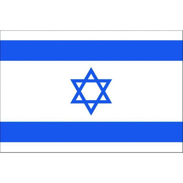 東京製旗(株) 東京製旗 国旗No.1(70×105cm) イスラエル 416124-TN WO店