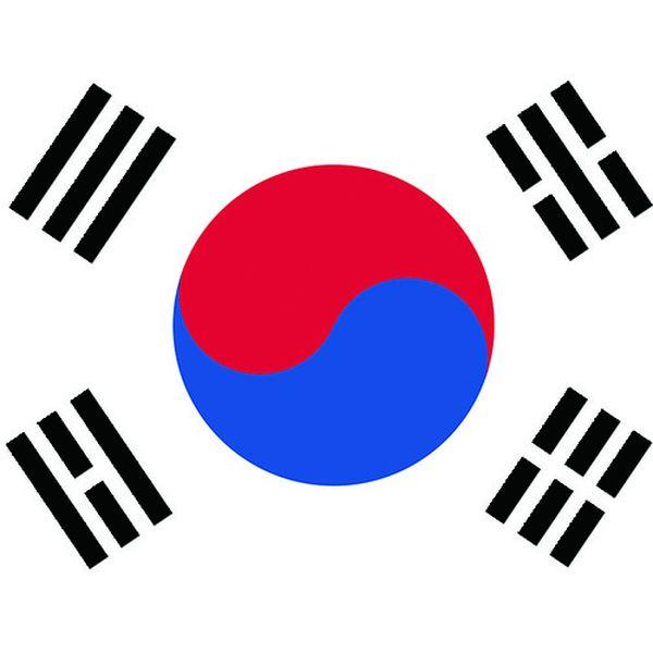 東京製旗(株) 東京製旗 国旗No.1(70×105cm) 大韓民国 416402-TN WO店