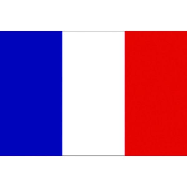 東京製旗(株) 東京製旗 国旗No.1(70×105cm) フランス 416647-TN WO店