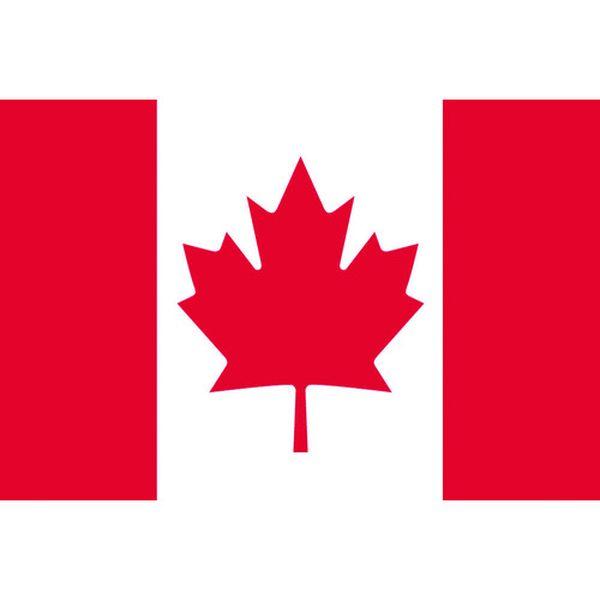 東京製旗(株) 東京製旗 国旗No.2(90×135cm) カナダ 426204 WO店の通販は