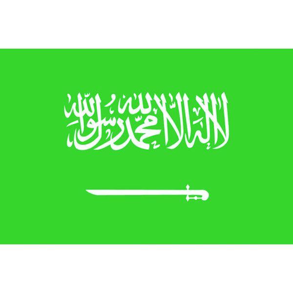 東京製旗(株) 東京製旗 国旗No.2(90×135cm) サウジアラビア 426302 WO店の通販は