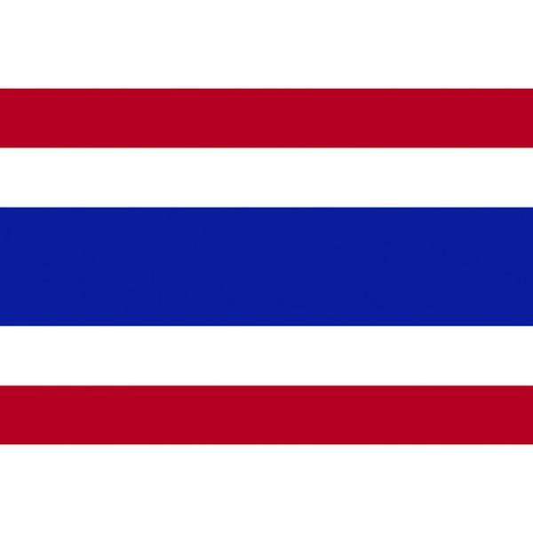 東京製旗(株) 東京製旗 国旗No.2(90×135cm) タイ 426401 WO店の通販は