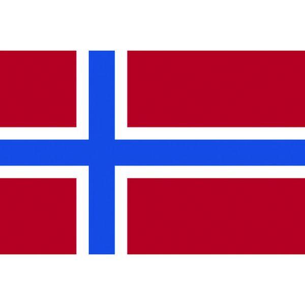 東京製旗(株) 東京製旗 国旗No.2(90×135cm) ノルウェ- 426581 WO店の通販は 11,363円