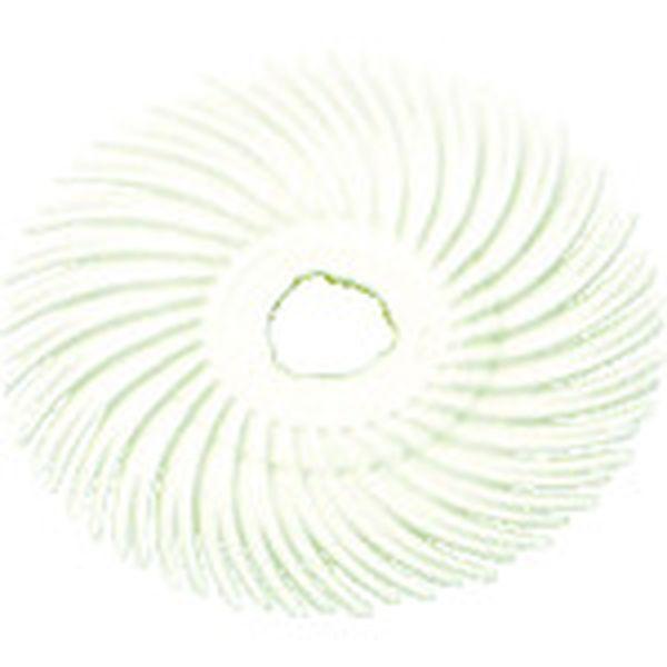 BRDISC1202X38 スリーエム 3M ラジアル・ブリッスルディスク ＃120相当 白 50.8mm 40枚入り BR DISC 120 2X3/8 WO店