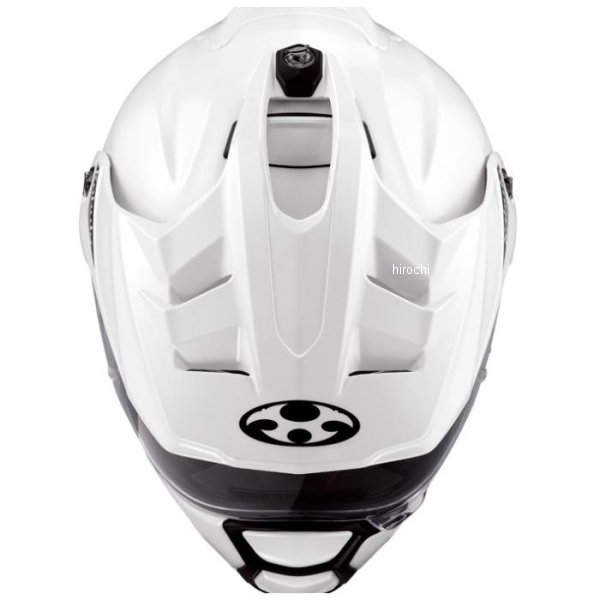 PSA 10 オドシシ　PCG 金の空　銀の海 PSA 10 オドシシ PCG 金の空 銀の海 2025年最新】オドシシ pcgの