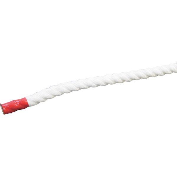 (株)グリーンクロス グリーンクロス クレモナSロープ 50m巻 10mm 6300023904-TN WO店