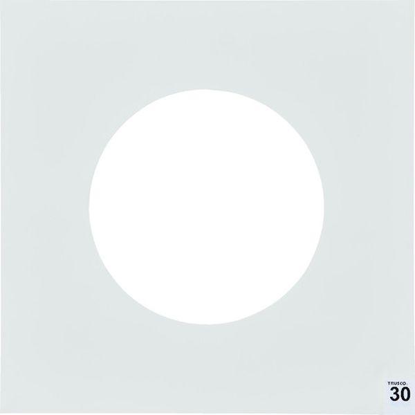 ASS3030WM10 まとめ買い エアーシャワー用粘着シート 300X300 30枚 高粘度 白 10シート ASS3030WM10-TN WO店