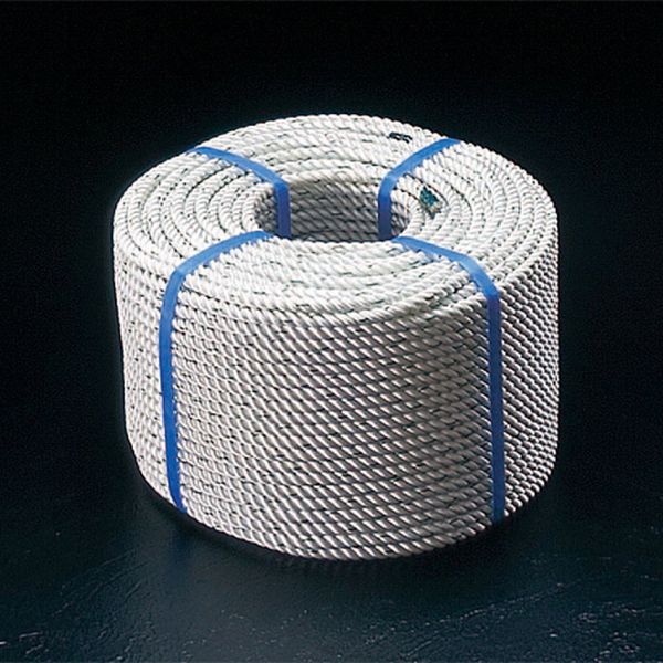 エスコ ESCO 14mmx100m ナイロンロープ(三つ打ち) EA628TB-142 WO店 42,935円