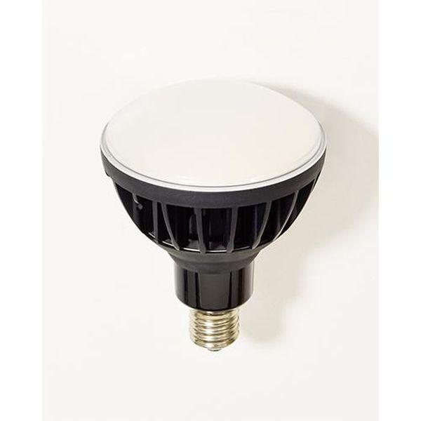 エスコ ESCO AC100V/ 50W 電球(黒) EA814DL-54 WO店