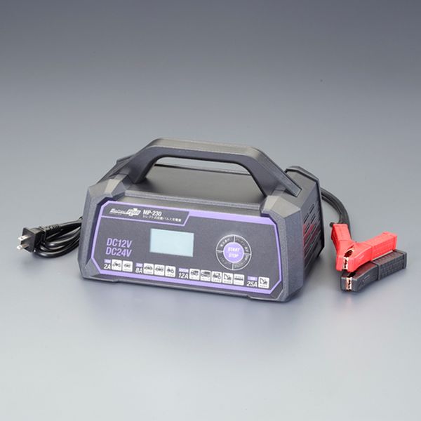 エスコ ESCO AC100V/4-176Ah 自動パルス充電器 EA815YA-44 WO店