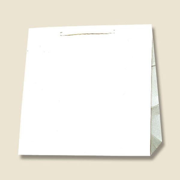 エスコ ESCO 300x210x310mm 紙袋(白無地/50枚) 000012340801 WO店