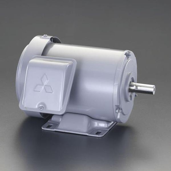 エスコ ESCO AC200V・0.2 kw 三相モーター (全閉外扇・屋内形 エスコ ESCO AC200V・0.2 kw 三相モーター (全閉外扇・屋内形