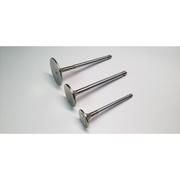 Ferrea Nissan NEO 29.65mm 5.96mm 97.95mm 22 Deg Flo Stock Competition Plus Exhaust Valve - Set of 12 ferF1935P WO店