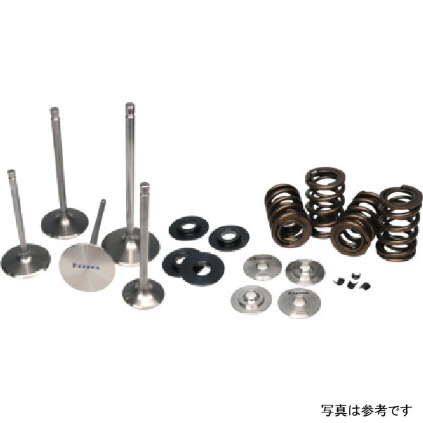 Ferrea エンデュランス デュアルスプリングキット スバル WRX STI FERKT4020 WO店