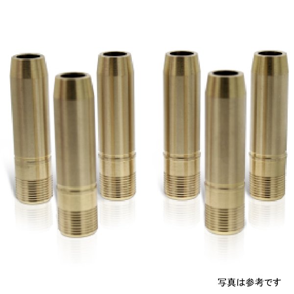 Ferrea Mistubishi 4B11T Std Intake Valve Guide - Set of 8 (Use w/VS1025) ferVG1079 WO店