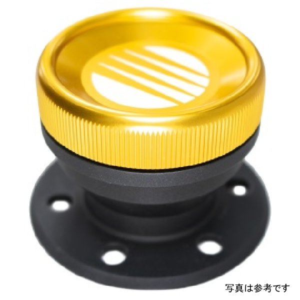 Fuelab ダイレクト燃料フィラーキット キャップ??付き FLB63711 WO店