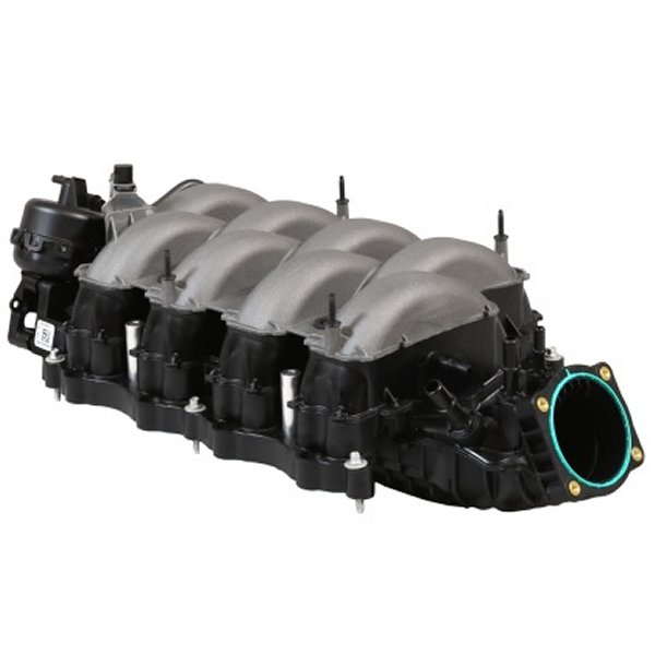 バック Ford Racing 18-21 Gen 3 5.0L Coyote インテークマニフォールド FRPM