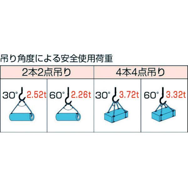 GRS12S1 トラスコ中山(株) TRUSCO Wスリング ホンブルグ帽印字機 ケーブルレイド 12mmX1.0m GRS12S1-TN WO店
