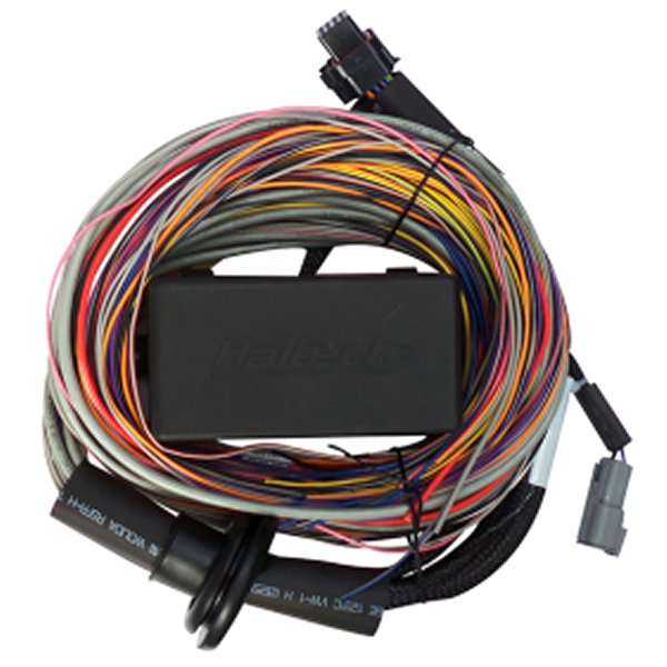 Haltech Elite 750 8ft Premium Universal Wire-In Harness HALHT-140604 WO店