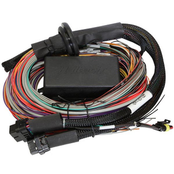 Haltech Elite 1500 8ft Premium Universal Wire-In Harness HALHT