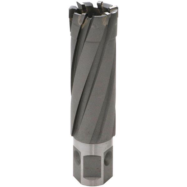 ISK5QC260 ライトボーラー用替刃 50QC LBクイック裁断師 ISK-5QC260(超硬刃)(54651) ISK5QC260-TN WO店