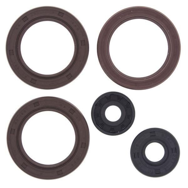 QuadBoss 2022 Can-Am Maverick Trail 700 Oil Seal Set qbs564876 WO店