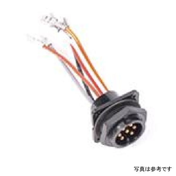 Radium Engineering Bulkead Harness Internal Triple Walbro F90000262 Pump RAD17-0028 WO店