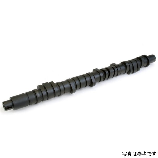 Skunk2 Tuner Series D-Series ホンダ Stage 4 Camshaft SKK305